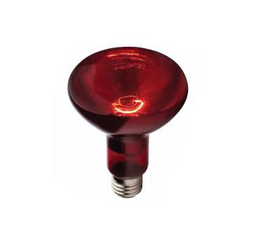 Лампа ИКЗК-250 (15 шт) (00000000755)