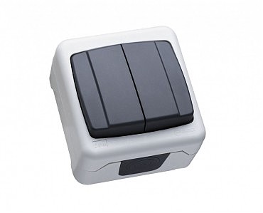 Выключатель двухклавишный (12 шт.) (00000013859)